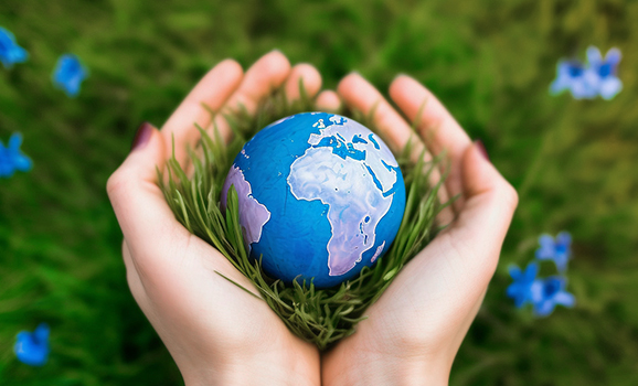 銷售網(wǎng)絡(luò)